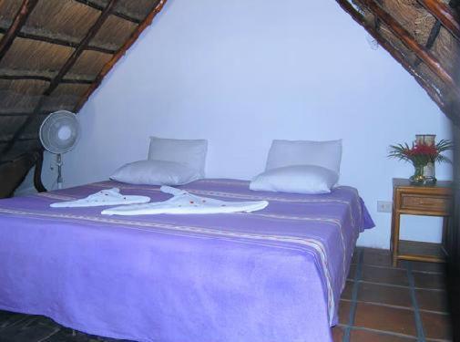 La Rana Cansada Hotel Playa del Carmen Bagian luar foto